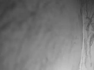 Voyeurcam-bridgetleewalters-02  live sex cam