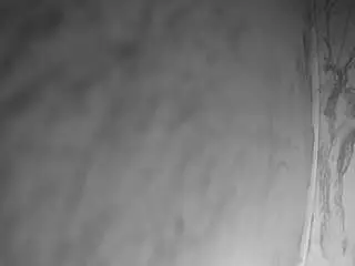 Voyeurcam-bridgetleewalters-02  live sex cam