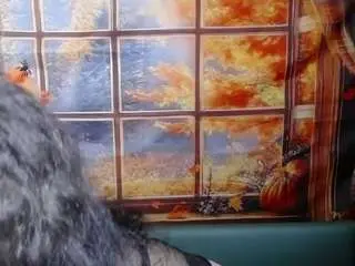 Miroslavahappi  live sex cam