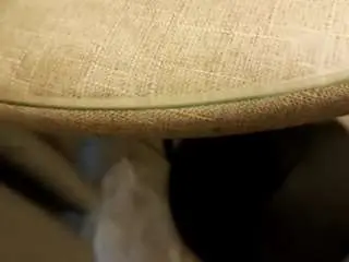 Saanviscott  live sex cam