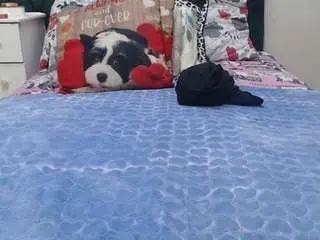 Curveychocclitx5  live sex cam