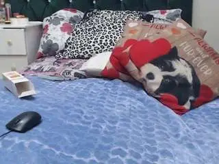 Curveychocclitx5  live sex cam