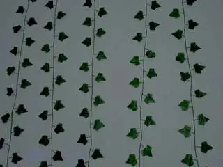 Miaa-garcia  live sex cam