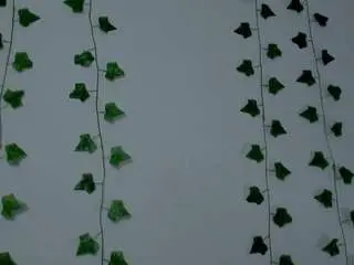 Miaa-garcia  live sex cam