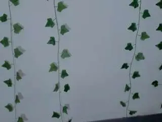 Miaa-garcia  live sex cam