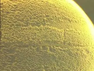 Violetta-jhonsson-v  live sex cam