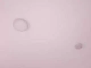 Sofiaclarkson  live sex cam