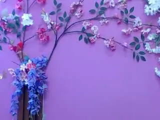 Skinnysofia18  live sex cam