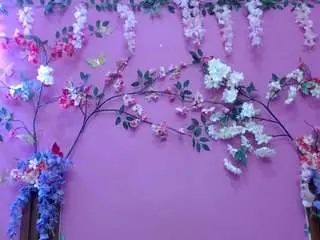 Skinnysofia18  live sex cam