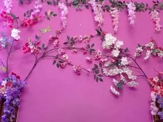 Skinnysofia18  live sex cam