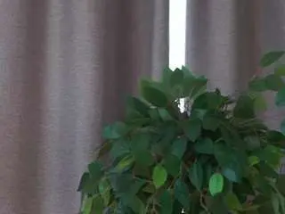 Marandareimmer  live sex cam