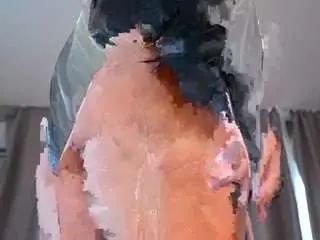Marandareimmer  live sex cam