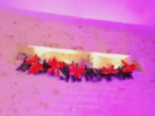 Pamela-west  live sex cam