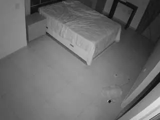 Voyeurcam-casa-salsa-bedroom-11  live sex cam