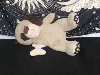Amarantaa08  live sex cam