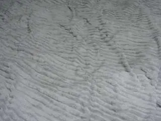 Gerthadoak  live sex cam