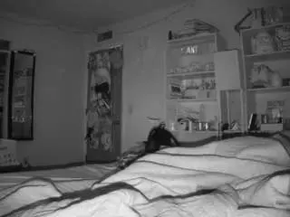 Voyeurcam-freakyfeline-01  live sex cam
