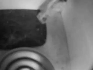 Voyeurcam-freakyfeline-01  live sex cam
