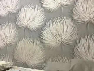 Shavisher  live sex cam