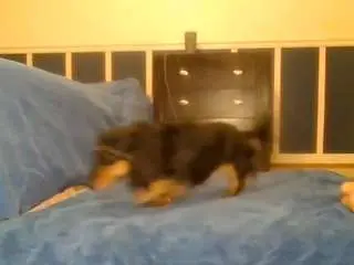 Playwitme2000  live sex cam
