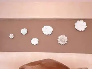 Ariafoster  live sex cam