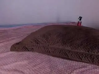 Ariafoster  live sex cam