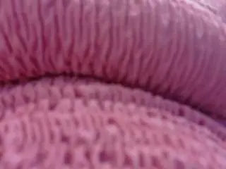 Petitelittleebonyy  live sex cam