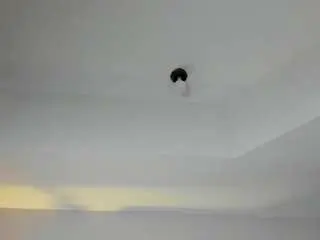 Abbiejoness  live sex cam
