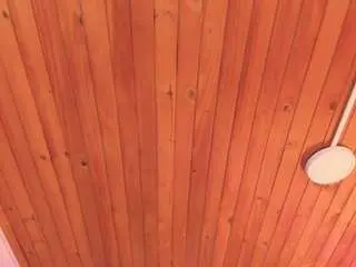 Novahduel  live sex cam
