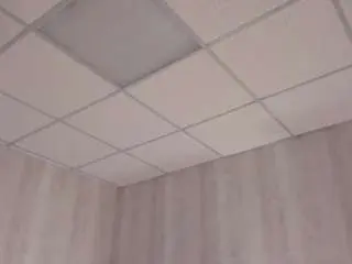 Nikki-glow  live sex cam
