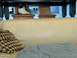 Tayteelswick  live sex cam