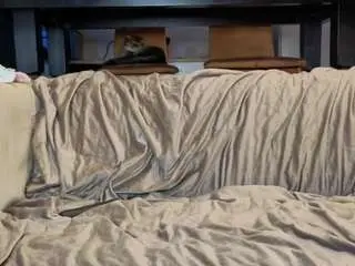 Tayteelswick  live sex cam