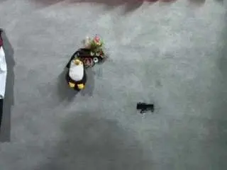 Honey007weir  live sex cam