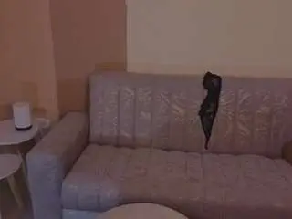 Toricross  live sex cam