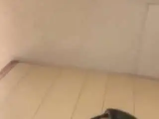 Tatiannasweets11  live sex cam