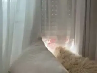 Naommiscott  live sex cam