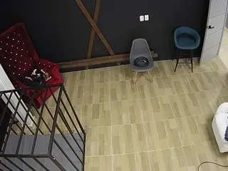 Voyeurcam-jb-porno-room-3  live sex cam