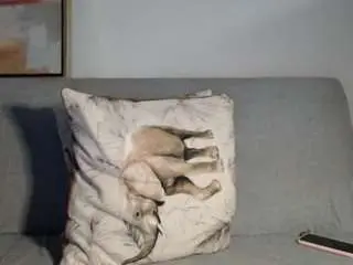 Isabellasexywet  live sex cam