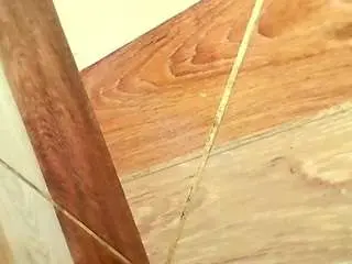 Shannon-kane  live sex cam