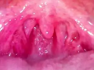 Shannon-kane  live sex cam