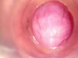 Shannon-kane  live sex cam