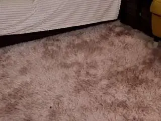 Danillefranceschini  live sex cam