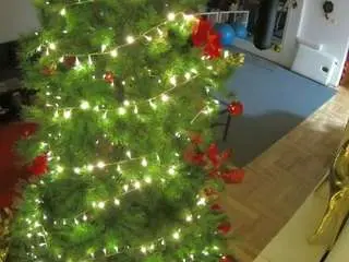 Voyeurcam-julmodels-living-2  live sex cam