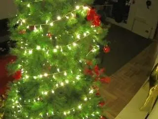 Voyeurcam-julmodels-living-2  live sex cam