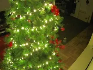 Voyeurcam-julmodels-living-2  live sex cam