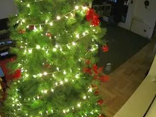 Voyeurcam-julmodels-living-2  live sex cam