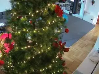 Voyeurcam-julmodels-living-2  live sex cam