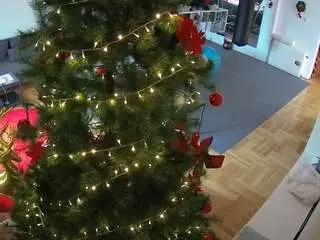 Voyeurcam-julmodels-living-2  live sex cam