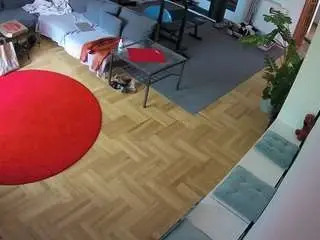Voyeurcam-julmodels-living-2  live sex cam