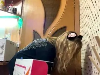 Susiecohill  live sex cam